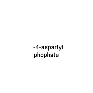 L-4-aspartyl phophate